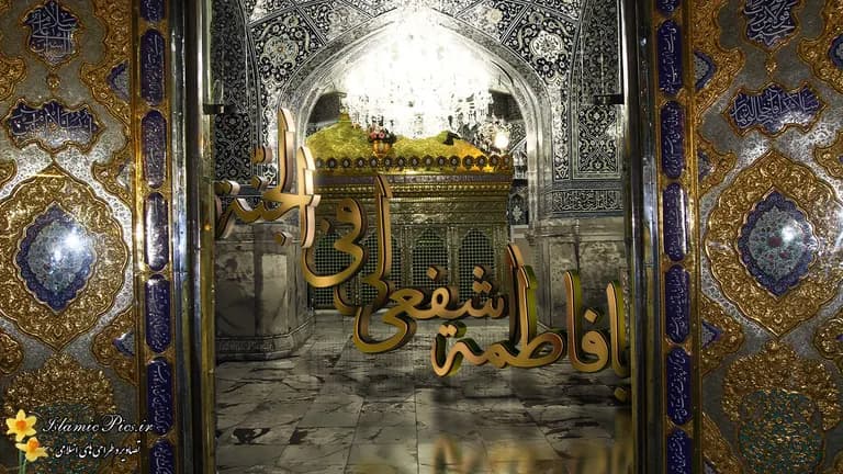 نقش علمی حضرت معصومه(س) در عالم اسلام