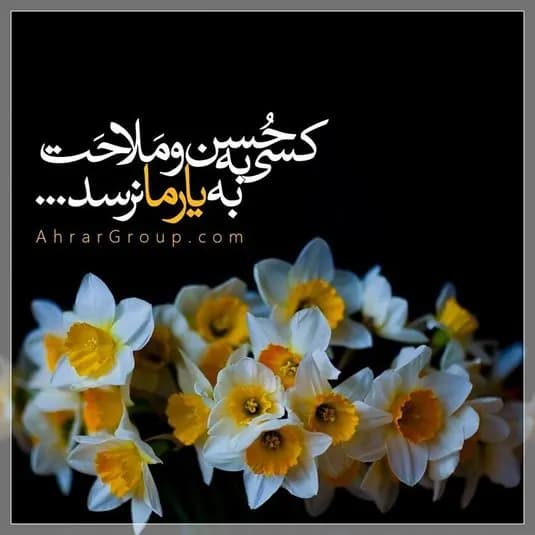 چرا معتقدان به امام غایب برتر از ملائکه هستند؟