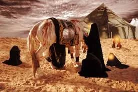 حضرت زینب سلام الله علیها روز تشکیل سقیفه را روز شهادت سیدالشهدا علیه السلام می‌دانند